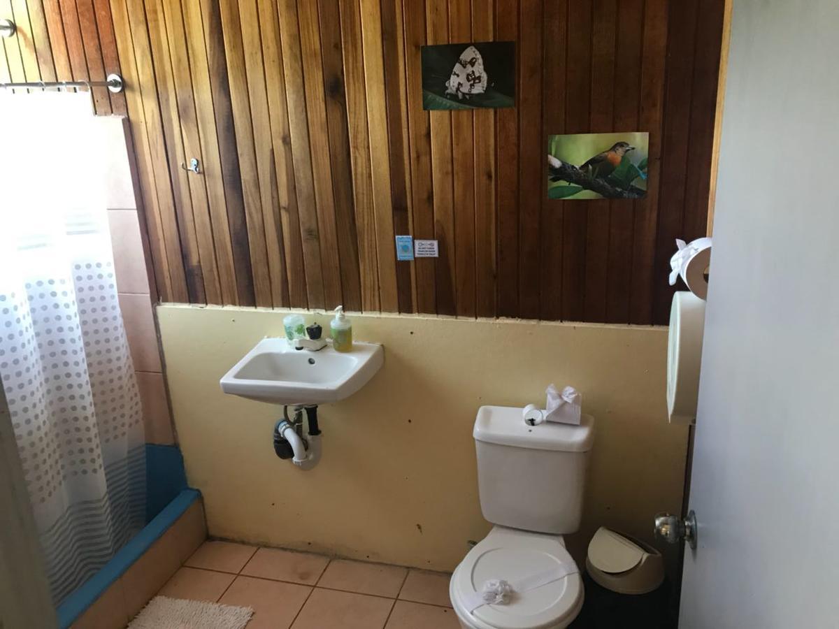 Islas Del Rio Hostel Tirimbina エクステリア 写真