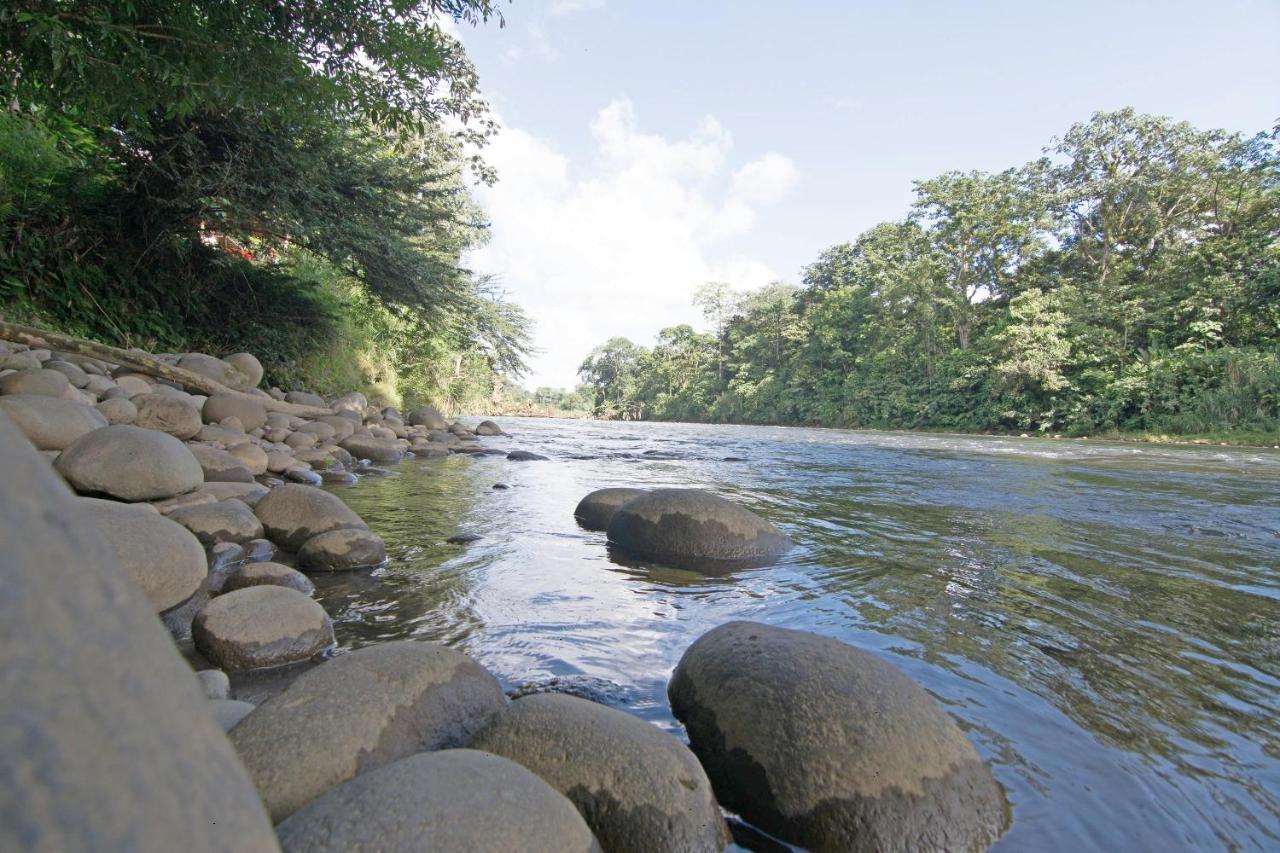 Islas Del Rio Hostel Tirimbina エクステリア 写真